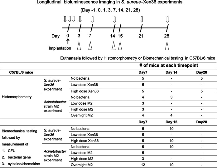 FIG 1