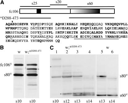 Figure 5.—