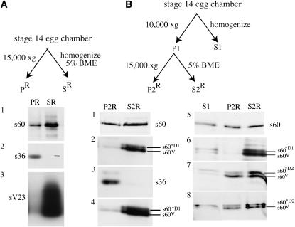 Figure 7.—