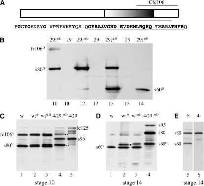 Figure 4.—