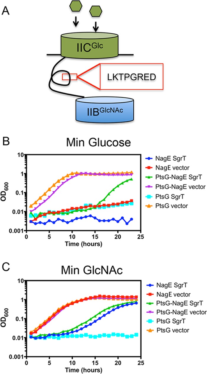 FIG 4