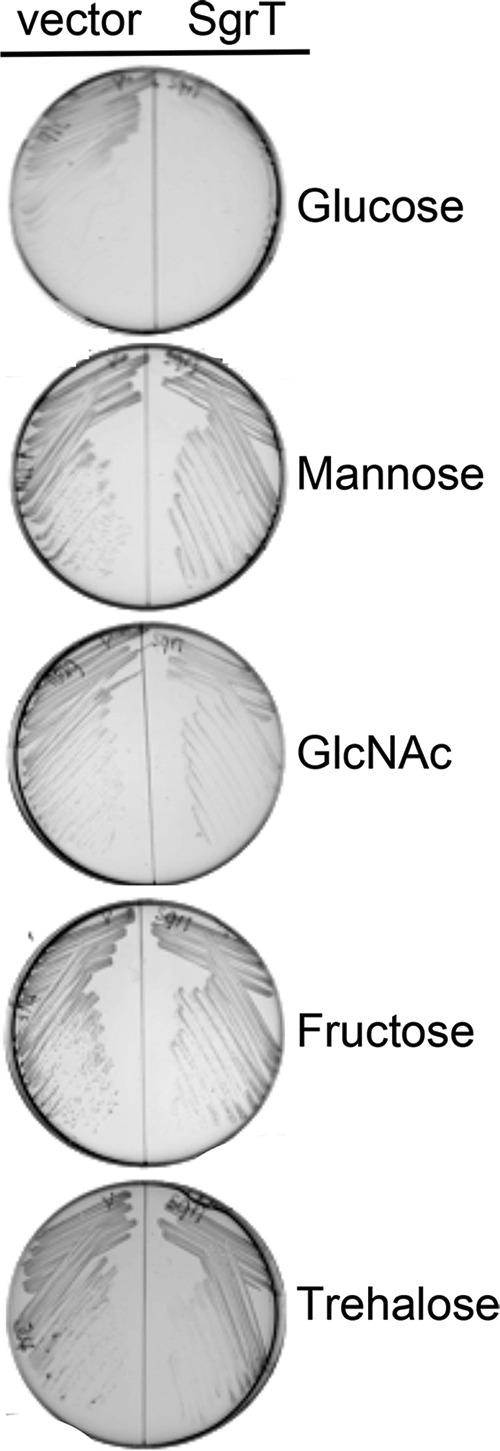 FIG 1