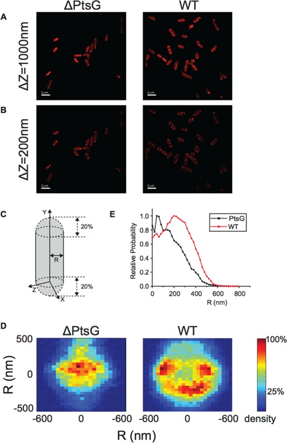 FIG 3