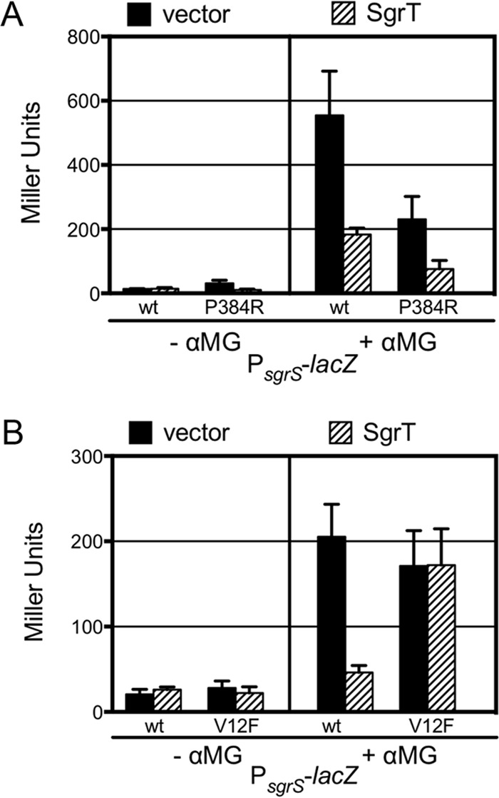 FIG 5