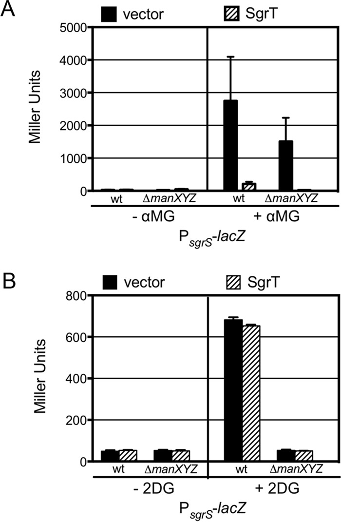 FIG 2