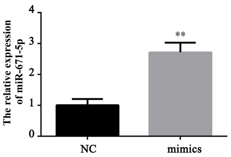 Figure 2.