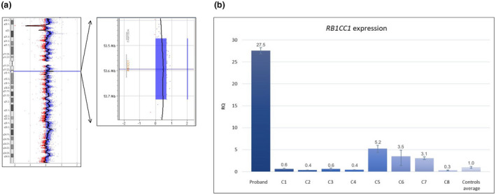 FIGURE 1