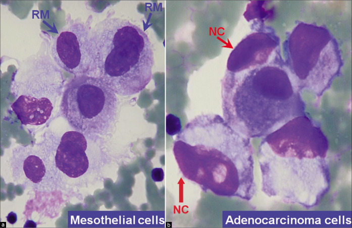 Figure 4: