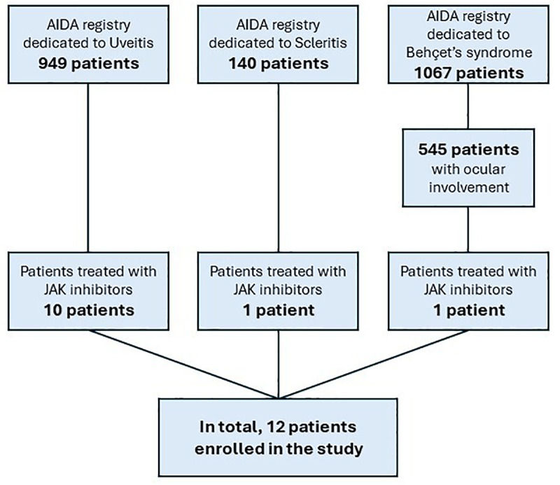 FIGURE 1