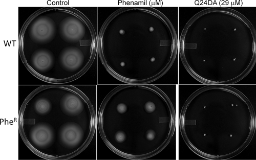 Fig. 6.