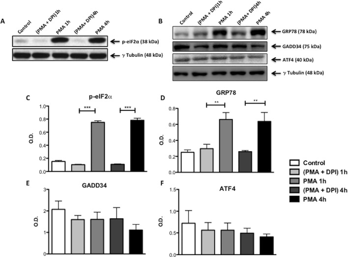 Fig 4