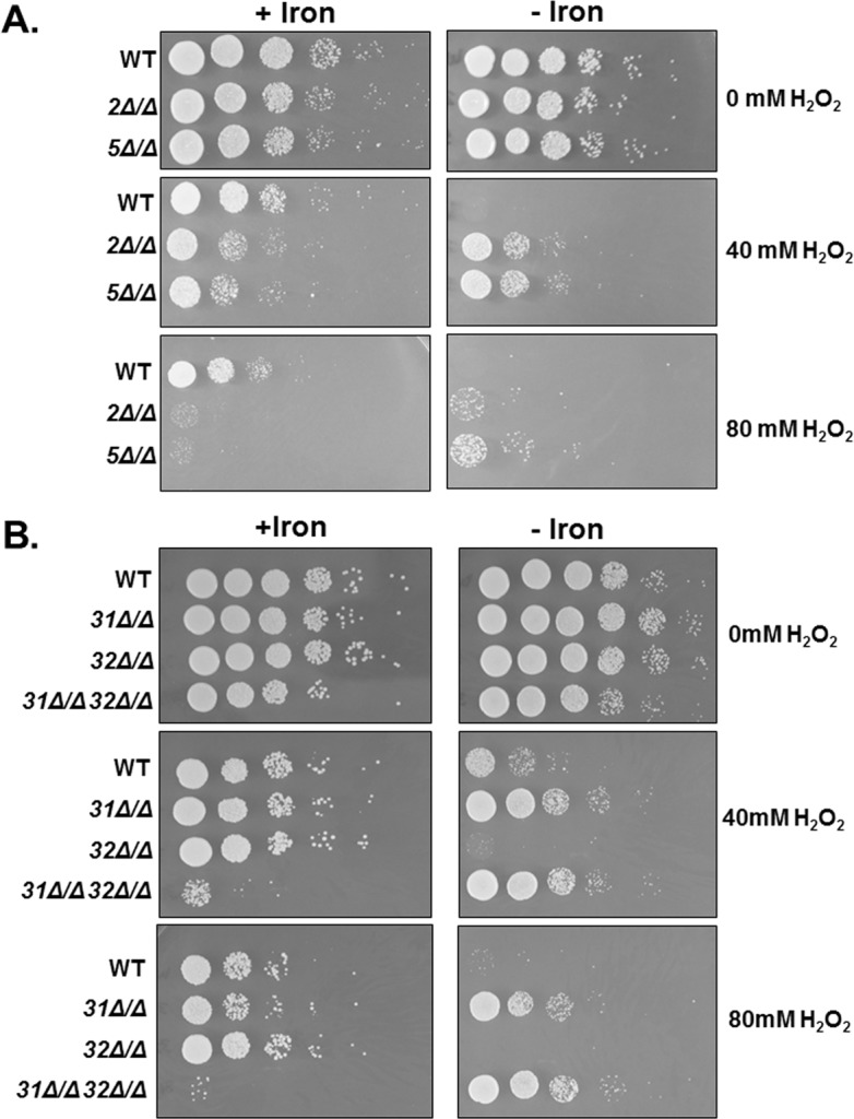 Fig 4