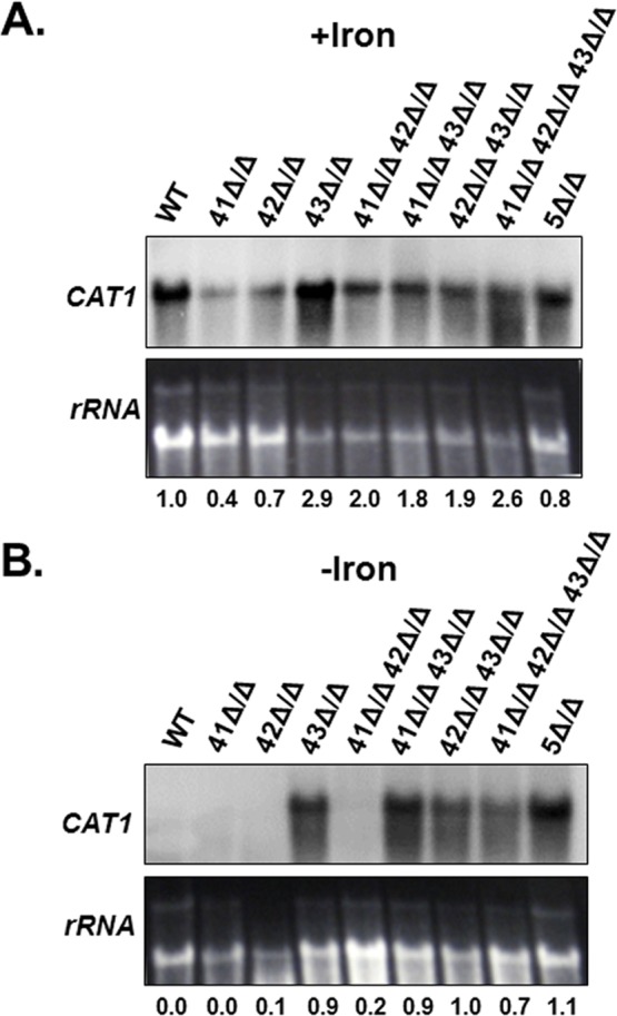 Fig 8