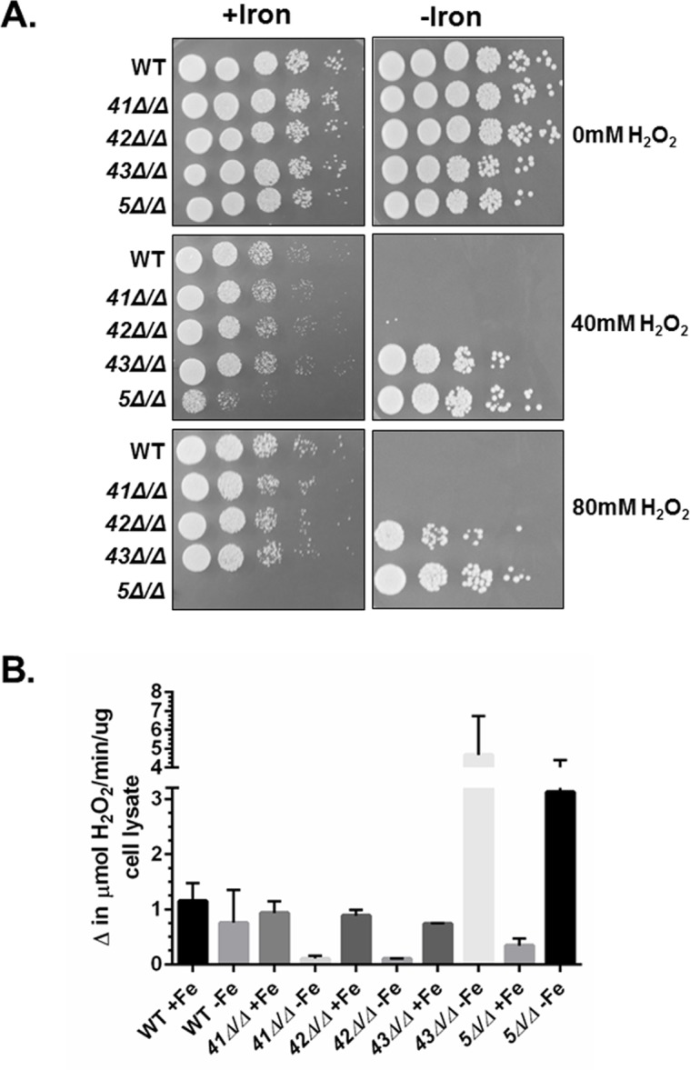 Fig 6