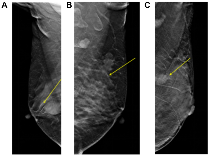 Figure 3.