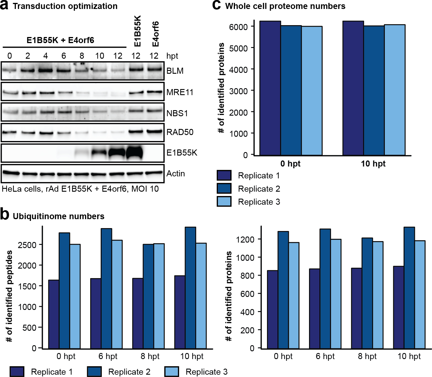 Extended Data Fig. 2