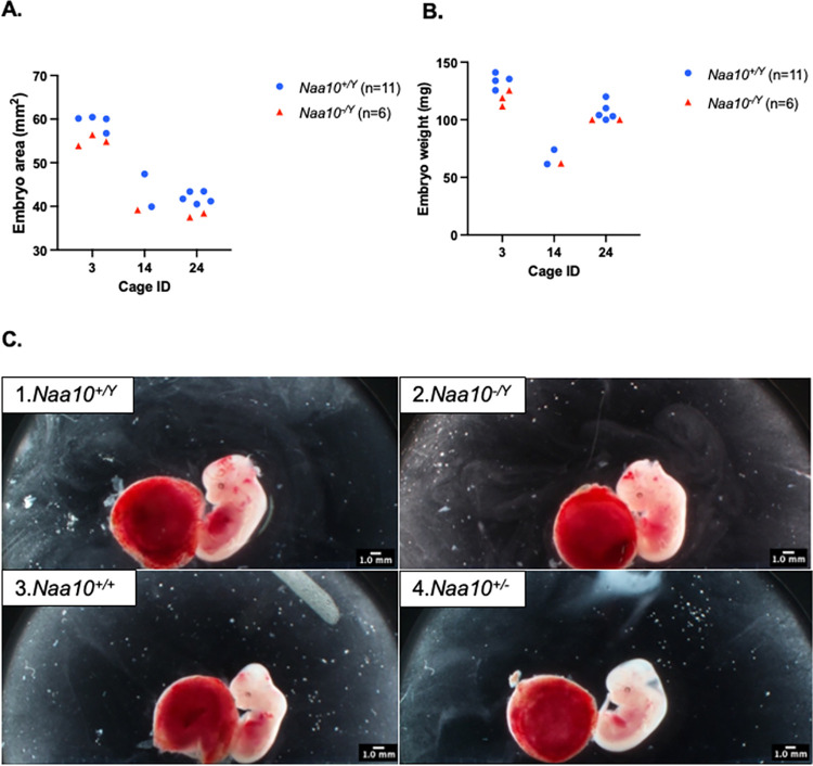 Fig 6