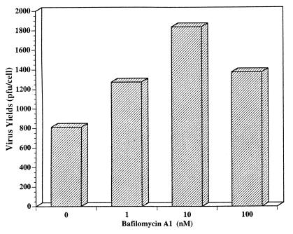 FIG. 6