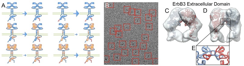 FIGURE 1: