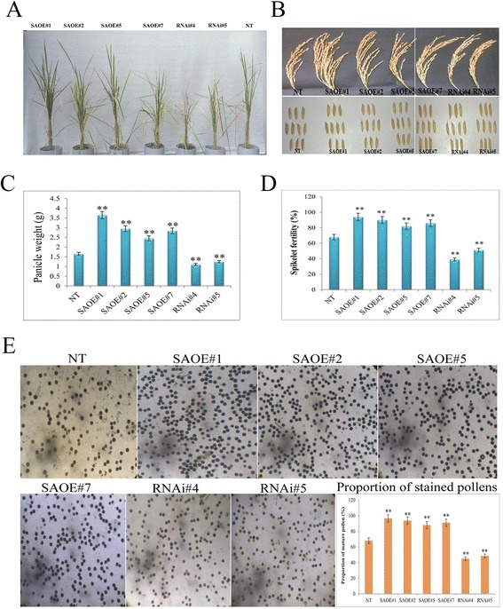 Fig. 10