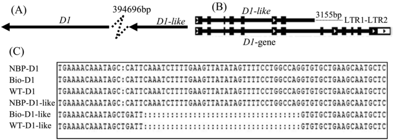 Fig. 4