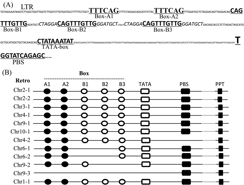 Fig. 6