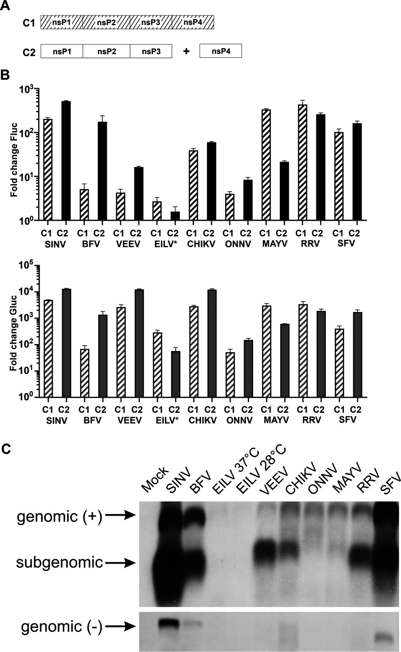 FIG 2