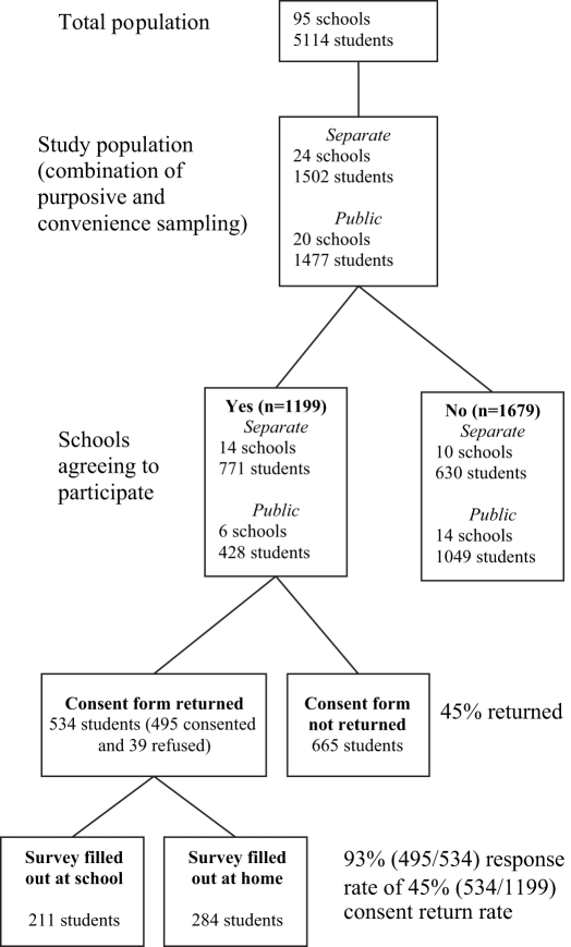 Figure 1)