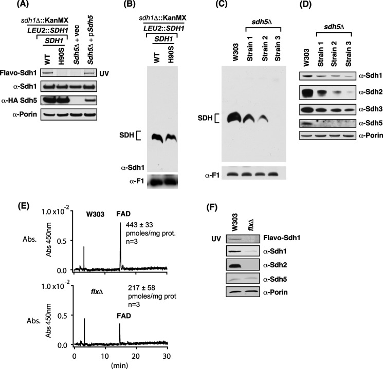 FIGURE 7.