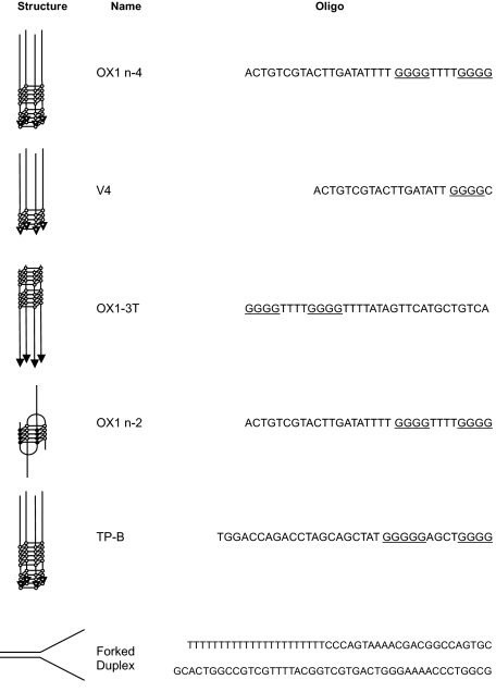 graphic file with name zbc005096192t001.jpg