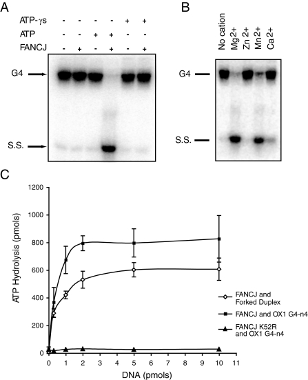 FIGURE 4.