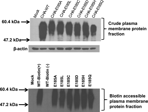 Fig. 9.