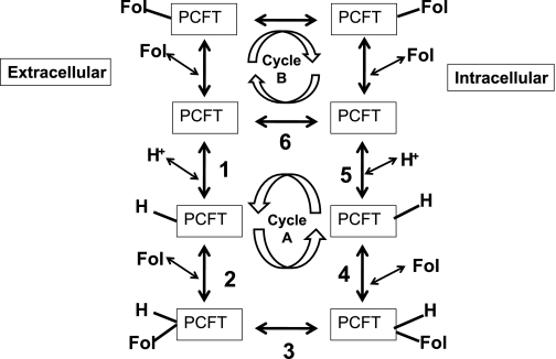 Fig. 10.