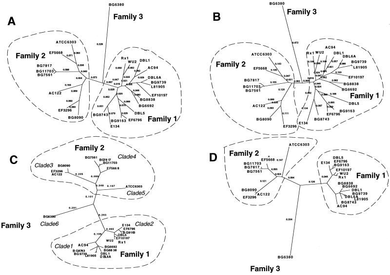 FIG. 6