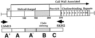 FIG. 1