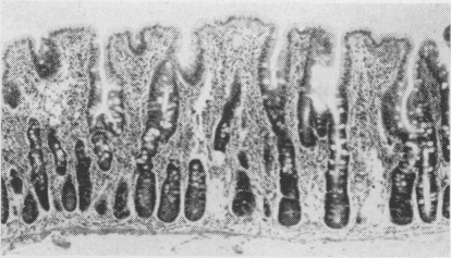 Fig. 6b