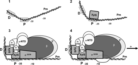 FIG. 8.