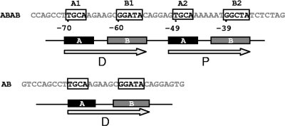 FIG. 1.