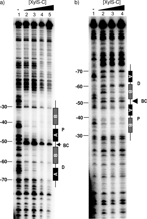 FIG. 7.