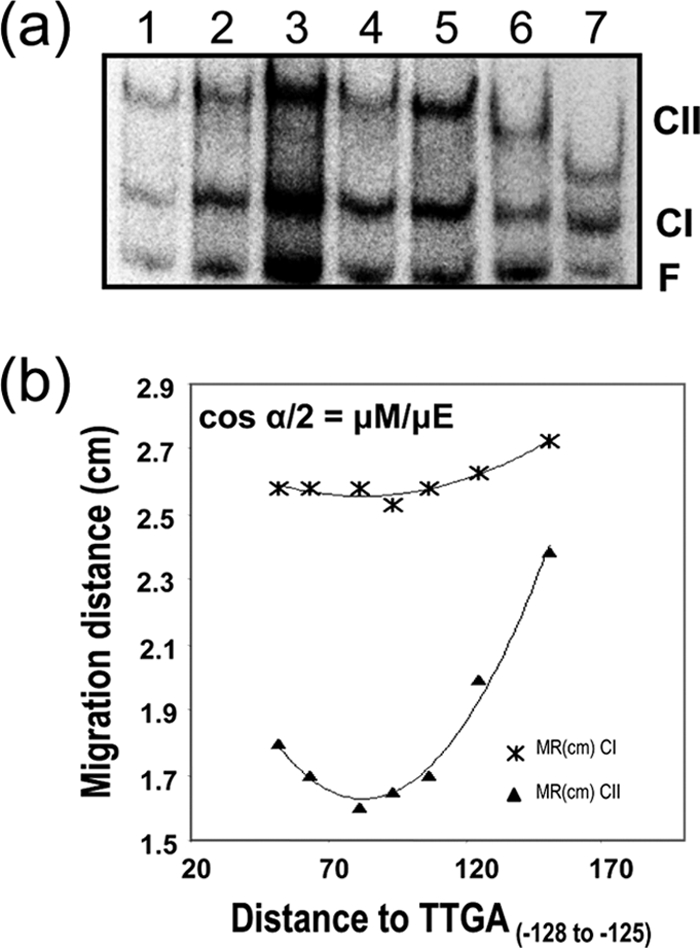 FIG. 5.