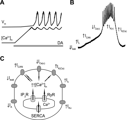 Fig. 6.