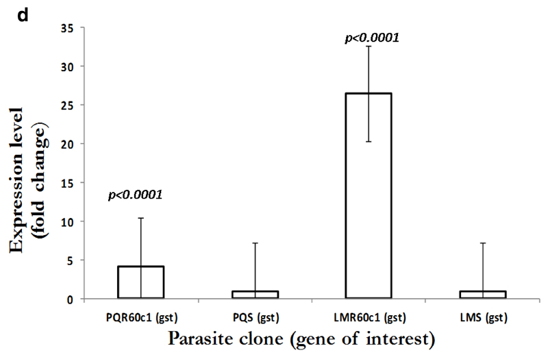 Figure 2d