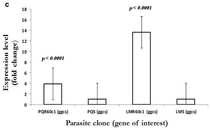 Figure 2c