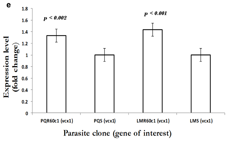 Figure 2e