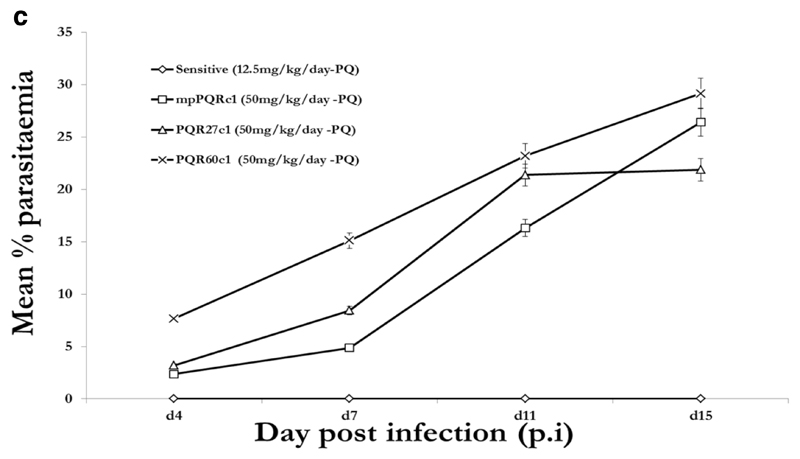 Figure 1c