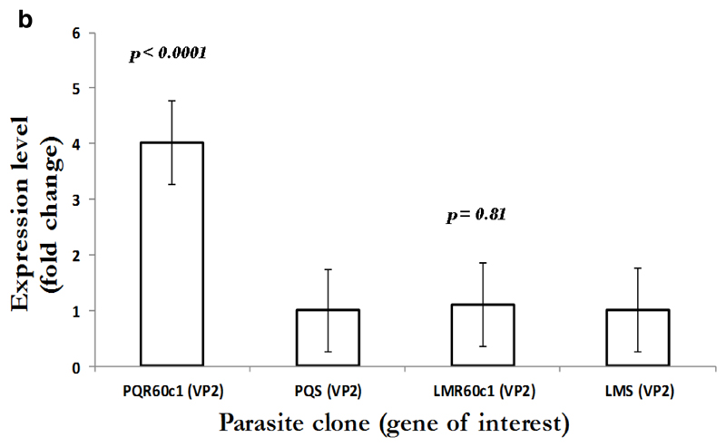 Figure 2b