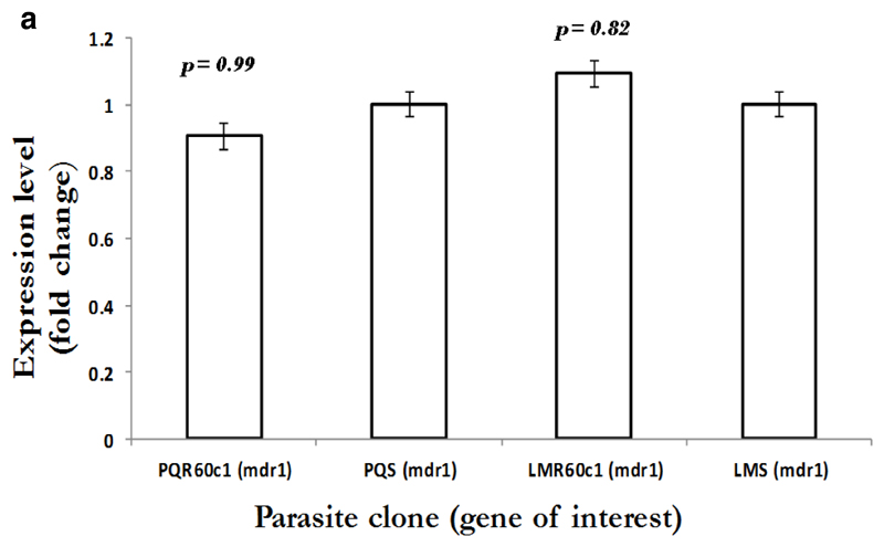 Figure 2a