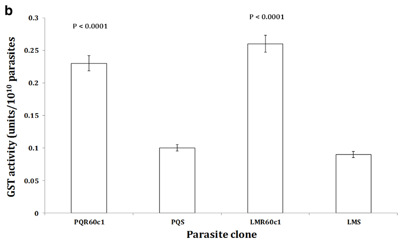 Figure 3b