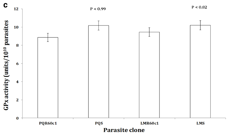 Figure 3c