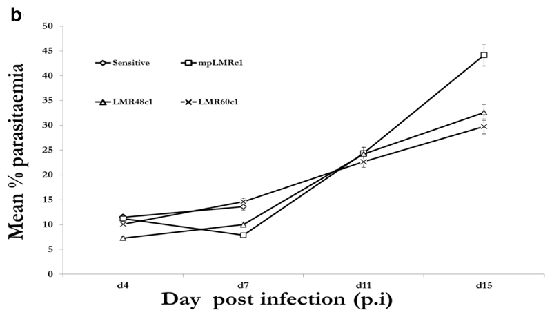 Figure 1b